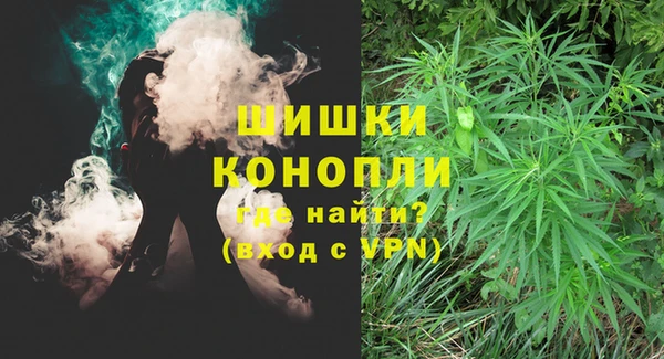 ешки Семилуки