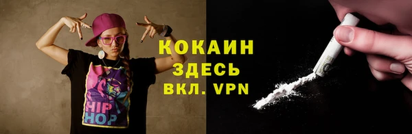 ешки Семилуки