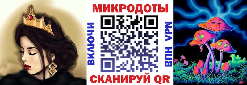 Псилоцибиновые грибы Psilocybine cubensis Киселёвск